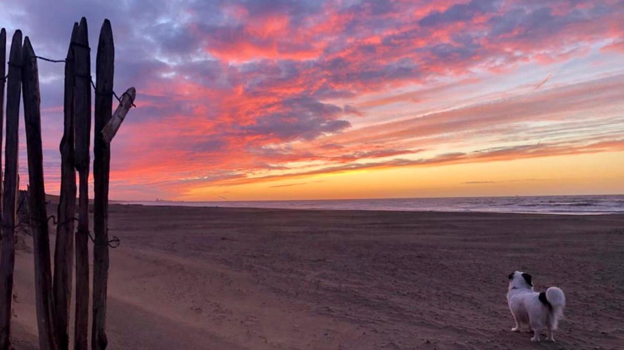 Beach House For You - Luxe Verblijf, 5 Min Van Het Strand Katwijk aan Zee Exterior foto
